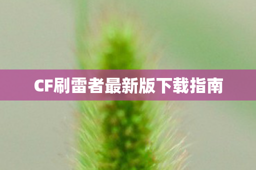 CF刷雷者最新版下载指南 CF刷雷者最新版下载指南