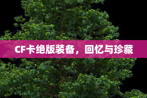 CF卡绝版装备,回忆与珍藏 CF卡绝版装备,回忆与珍藏