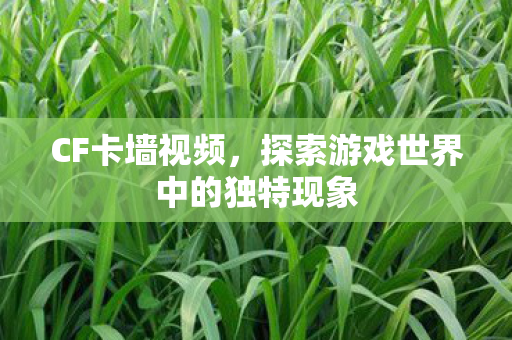 CF卡墙视频,探索游戏世界中的独特现象 CF卡墙视频,探索游戏世界中的独特现象