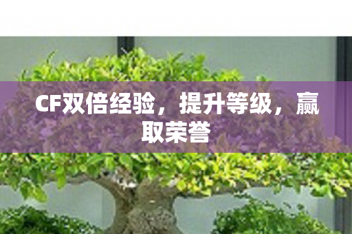 CF双倍经验，提升等级，赢取荣誉