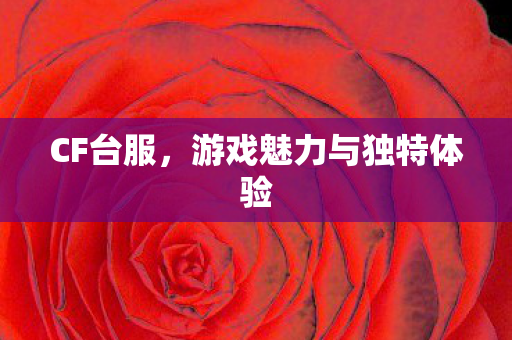 CF台服，游戏魅力与独特体验