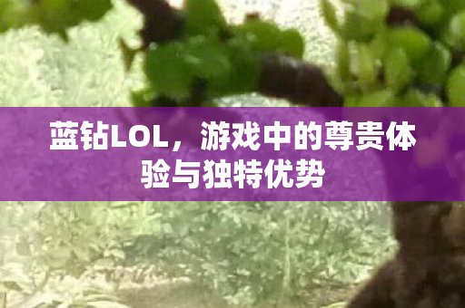 蓝钻LOL,游戏中的尊贵体验与独特优势 蓝钻LOL,游戏中的尊贵体验与独特优势