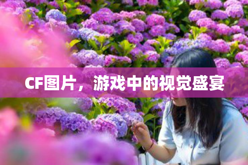 CF图片,游戏中的视觉盛宴 CF图片,游戏中的视觉盛宴