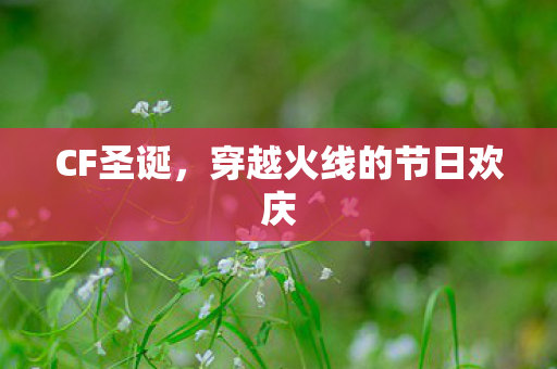 CF圣诞，穿越火线的节日欢庆