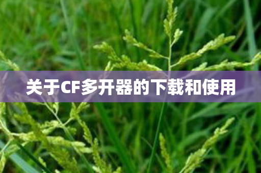 关于CF多开器的下载和使用 关于CF多开器的下载和使用
