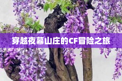 穿越夜幕山庄的CF冒险之旅