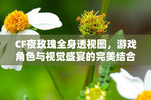 CF夜玫瑰全身透视图，游戏角色与视觉盛宴的完美结合