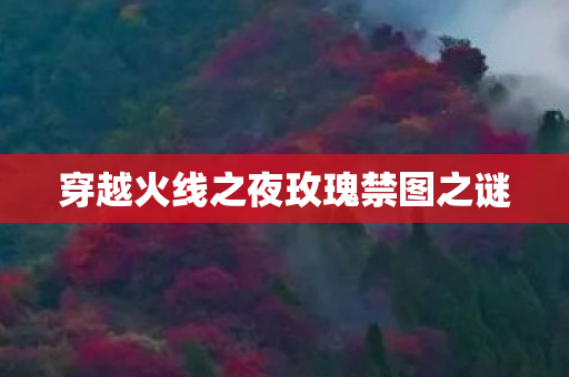 穿越火线之夜玫瑰禁图之谜 穿越火线之夜玫瑰禁图之谜