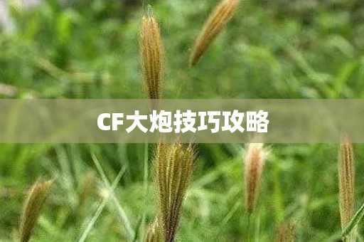 CF大炮技巧攻略 CF大炮技巧攻略