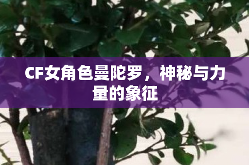 CF女角色曼陀罗，神秘与力量的象征