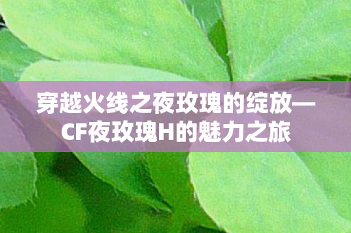 穿越火线之夜玫瑰的绽放—CF夜玫瑰H的魅力之旅 穿越火线之夜玫瑰的绽放—CF夜玫瑰H的魅力之旅