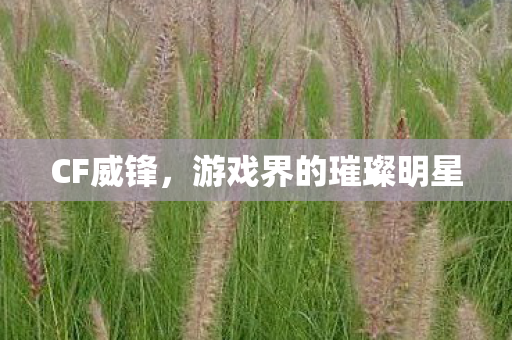 CF威锋，游戏界的璀璨明星