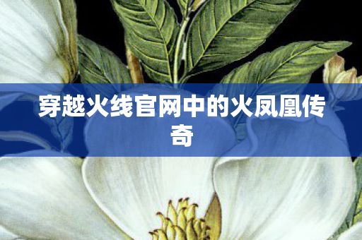 穿越火线官网中的火凤凰传奇