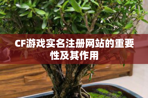 CF游戏实名注册网站的重要性及其作用