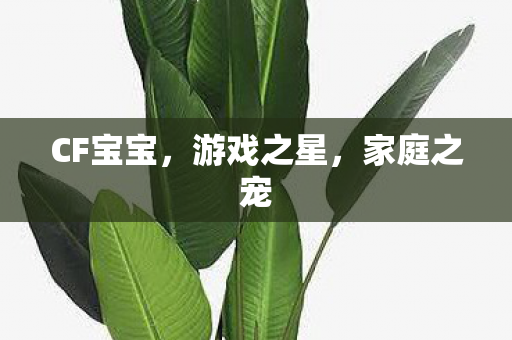 CF宝宝,游戏之星,家庭之宠 CF宝宝,游戏之星,家庭之宠