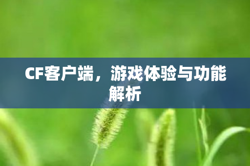 CF客户端，游戏体验与功能解析