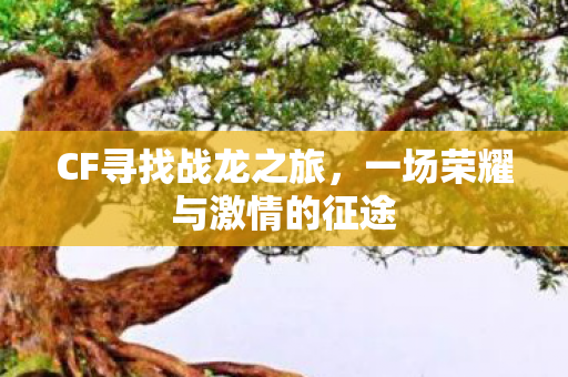 CF寻找战龙之旅，一场荣耀与激情的征途