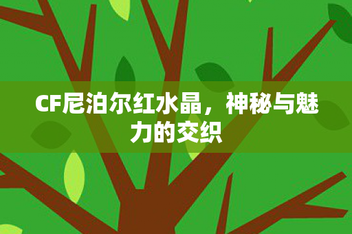 CF尼泊尔红水晶，神秘与魅力的交织