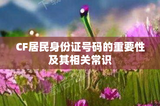 CF居民身份证号码的重要性及其相关常识