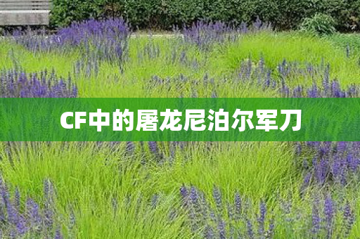 CF中的屠龙尼泊尔军刀