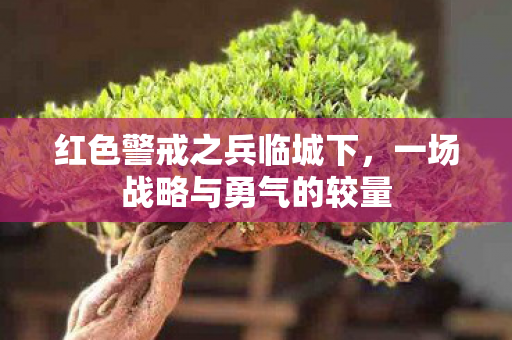 红色警戒之兵临城下，一场战略与勇气的较量