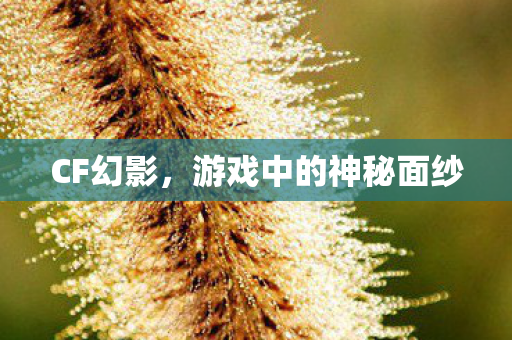 CF幻影，游戏中的神秘面纱