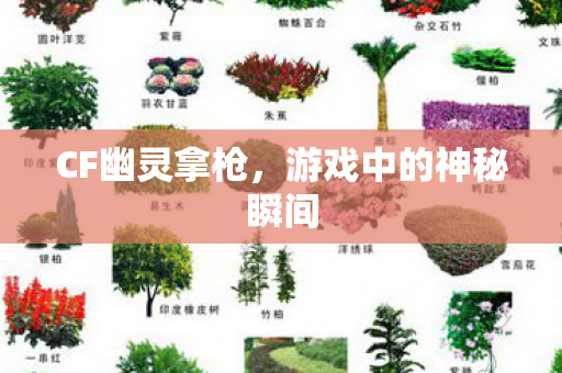 CF幽灵拿枪,游戏中的神秘瞬间 CF幽灵拿枪,游戏中的神秘瞬间