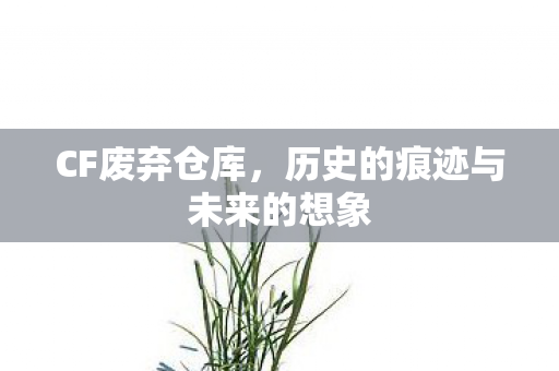 CF废弃仓库，历史的痕迹与未来的想象
