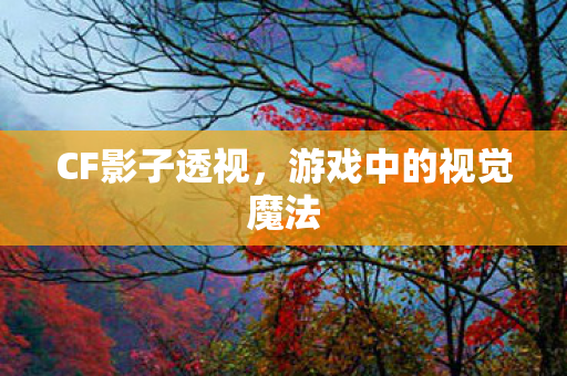 CF影子透视，游戏中的视觉魔法