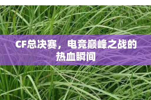CF总决赛,电竞巅峰之战的热血瞬间 CF总决赛,电竞巅峰之战的热血瞬间