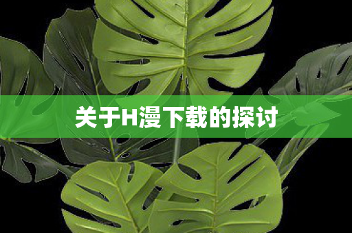 关于H漫下载的探讨