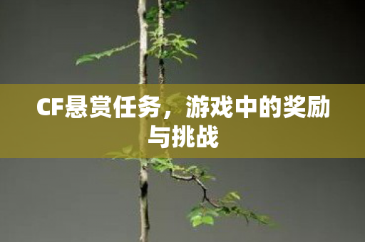 CF悬赏任务，游戏中的奖励与挑战