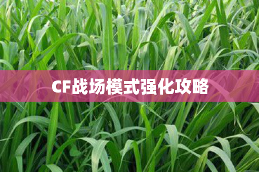 CF战场模式强化攻略 CF战场模式强化攻略