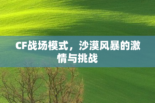 CF战场模式，沙漠风暴的激情与挑战