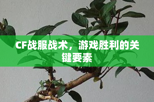 CF战服战术，游戏胜利的关键要素