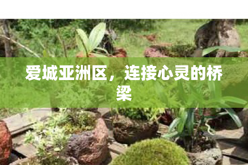 爱城亚洲区，连接心灵的桥梁
