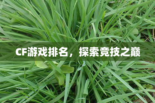 CF游戏排名，探索竞技之巅