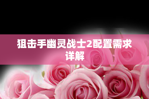 狙击手幽灵战士2配置需求详解