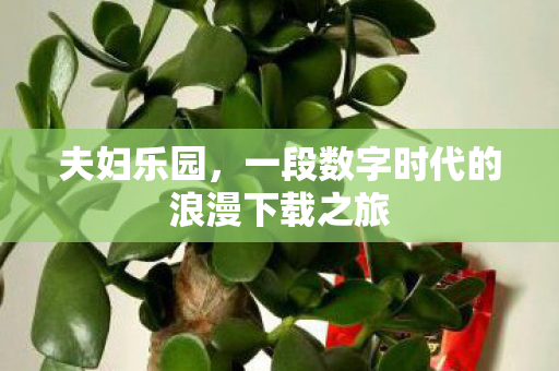 夫妇乐园,一段数字时代的浪漫下载之旅 夫妇乐园,一段数字时代的浪漫下载之旅