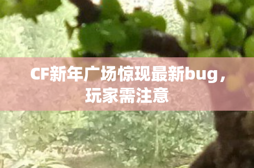 CF新年广场惊现最新bug,玩家需注意 CF新年广场惊现最新bug,玩家需注意