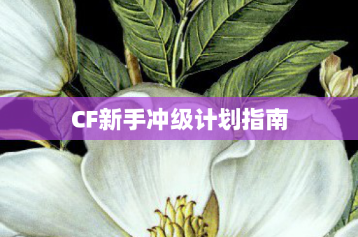 CF新手冲级计划指南 CF新手冲级计划指南