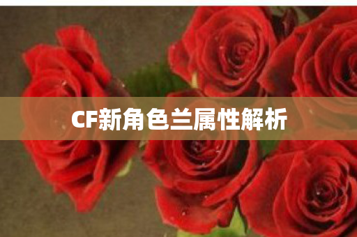 CF新角色兰属性解析 CF新角色兰属性解析