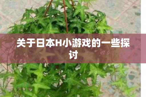 关于日本H小游戏的一些探讨