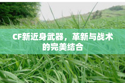 CF新近身武器，革新与战术的完美结合