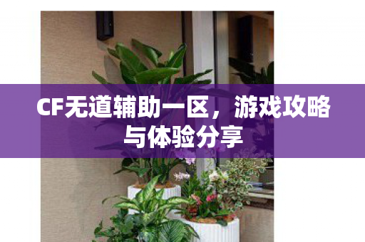 CF无道辅助一区，游戏攻略与体验分享