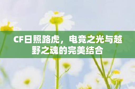 CF日照路虎，电竞之光与越野之魂的完美结合