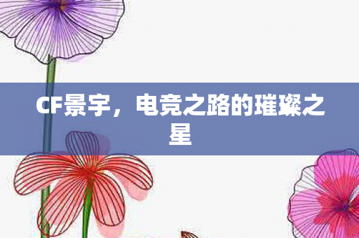 CF景宇,电竞之路的璀璨之星 CF景宇,电竞之路的璀璨之星