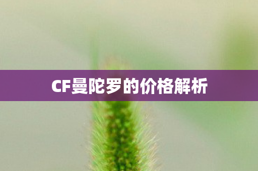 CF曼陀罗的价格解析 CF曼陀罗的价格解析