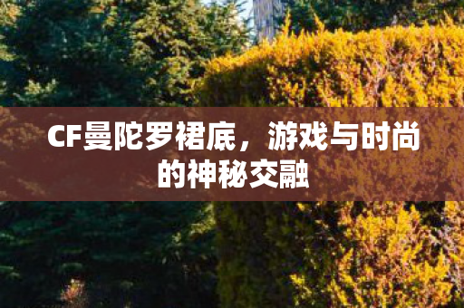 CF曼陀罗裙底，游戏与时尚的神秘交融