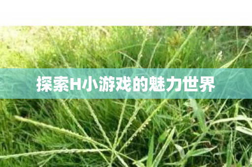探索H小游戏的魅力世界 探索H小游戏的魅力世界